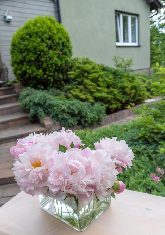 Green House - Two Bedroom Apartment Bielsko-Biala Exterior photo