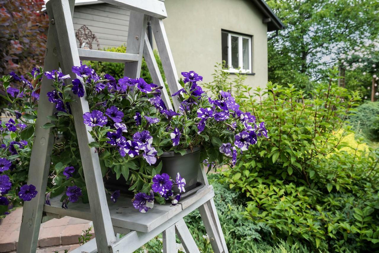 Green House - Two Bedroom Apartment Bielsko-Biala Exterior photo